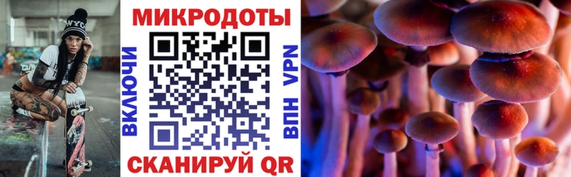 Галлюциногенные грибы MAGIC MUSHROOMS  как найти закладки  Сурск 