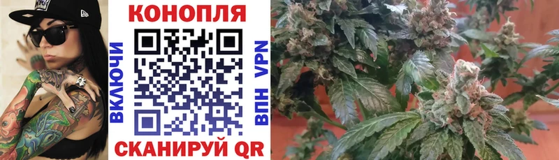 даркнет сайт  Сурск  Бошки марихуана OG Kush 